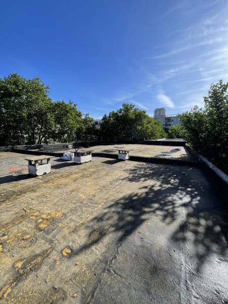 Réfection et isolation du complexe sportif de Nîmes : étanchéité Cool Roof et sécurisation