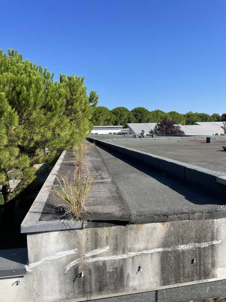 Rénovation après sinistre : arrachage d’étanchéité + complexe autoprotégé “cool roof” pour un bâtiment collectif à Montpellier